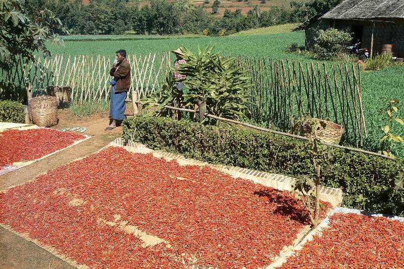 32 Paesaggio verso Pindaya